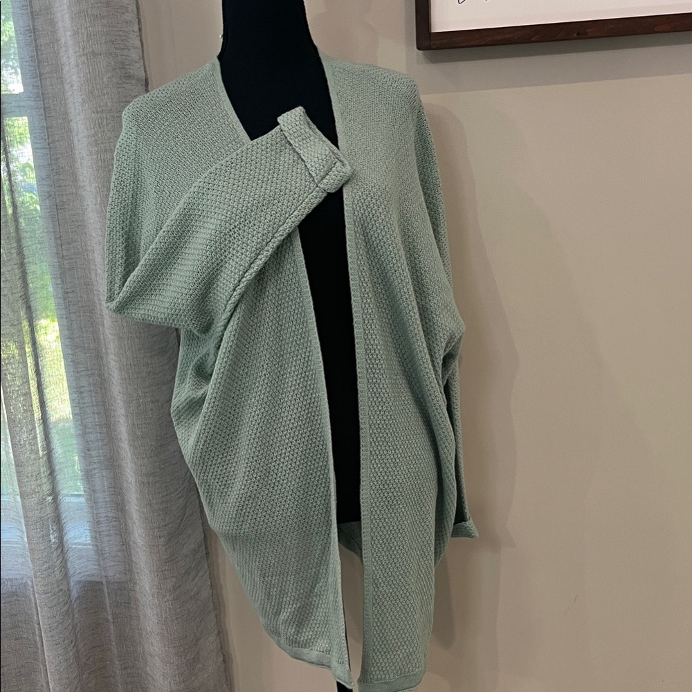 Women's Sage Green cardigan Sweater (Taylor approves)